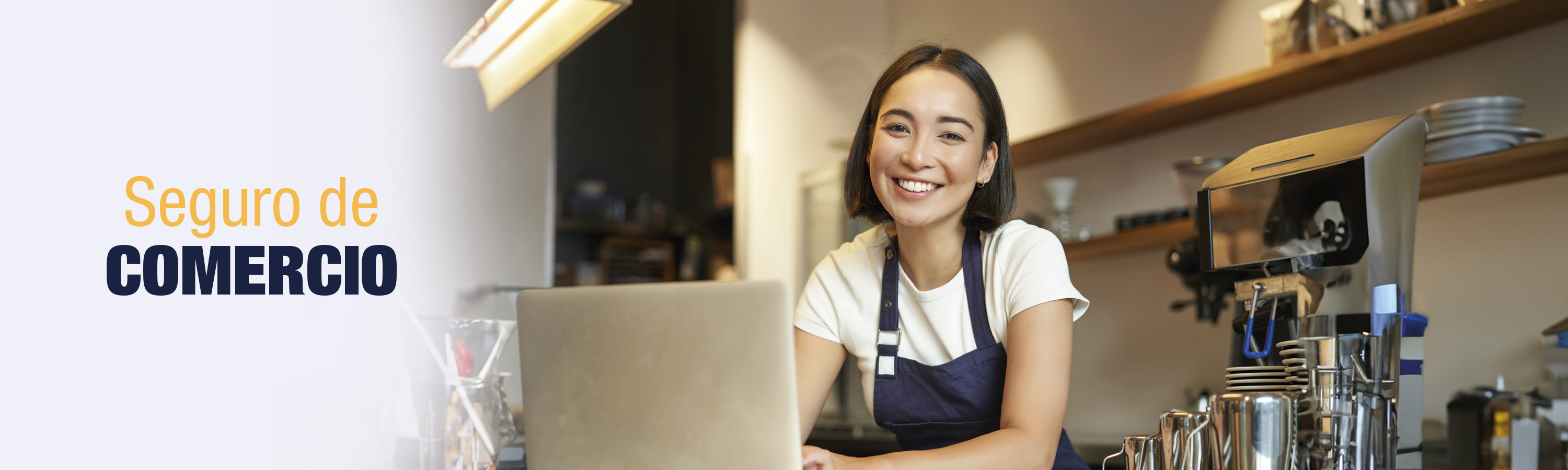 seguro_de_comercio